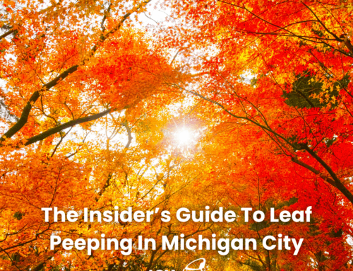 The Insider’s Guide To Leaf Peeping In Michigan City